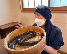 Lunch at Uran (う嵐)