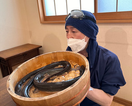 Lunch at Uran (う嵐)