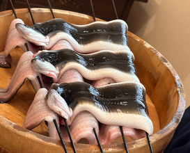 Lunch at Uran (う嵐)