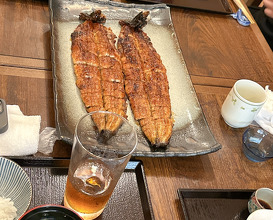 Lunch at Uran (う嵐)