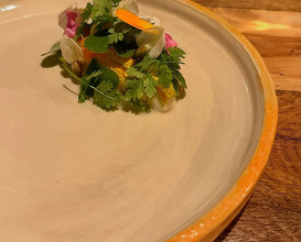 Dinner at ANT Restaurant & Vacation Apartments