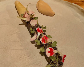 Dinner at ANT Restaurant & Vacation Apartments