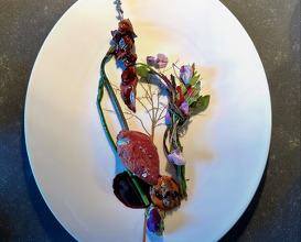 Dinner at Verso Ristorante