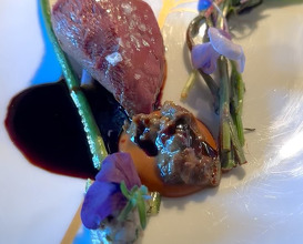 Dinner at Verso Ristorante