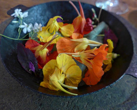 Dinner at Noma Restaurant, Copenhagen