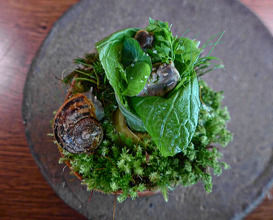 Dinner at Noma Restaurant, Copenhagen