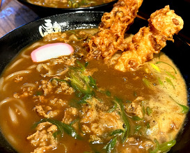 Dinner at うどん道場 谷六店