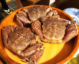 Dinner at 麻布十番