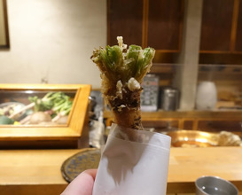 Dinner at 天ぷらもっこす