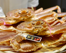 Dinner at 赤坂おぎ乃