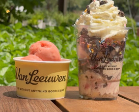 Dinner at Van Leeuwen Ice Cream