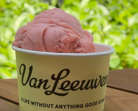 Dinner at Van Leeuwen Ice Cream