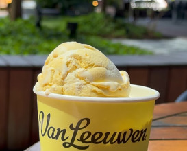 Dinner at Van Leeuwen Ice Cream