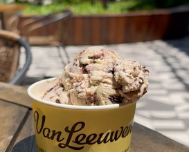 Dinner at Van Leeuwen Ice Cream