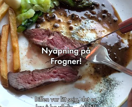 Dinner at Frogner