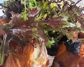 Dinner at Hog Island Oyster Company