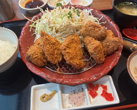 Dinner at Aji-katsu