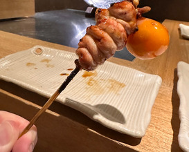 Dinner at Kagurazaka Torishin