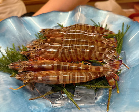 Dinner at Sushi Shunji