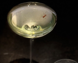 Dinner at Alchemist