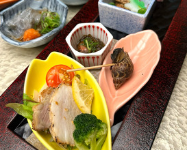 Dinner at 高知の宿 城西館