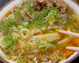 Dinner at 丸池製麺所 板西店