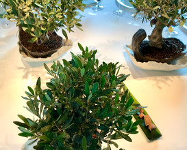 Dinner at El Celler De Can Roca, Girona, Spain