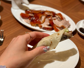 Dinner at Ginza