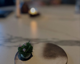 Dinner at Sons & Daughters