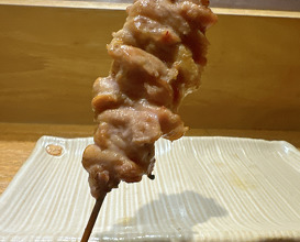 Dinner at Kagurazaka Torishin