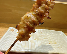 Dinner at Kagurazaka Torishin
