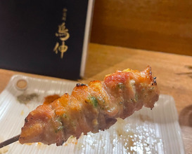 Dinner at Kagurazaka Torishin
