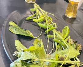 Lunch at Txispa