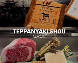 Dinner at Teppanyaki Shou