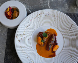 Dinner at Restaurant Hofstede De Blaak