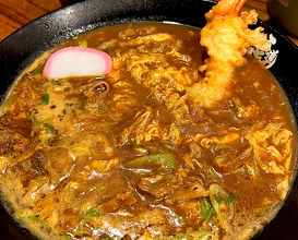 Dinner at うどん道場 谷六店