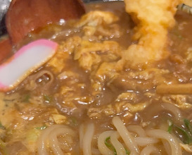 Dinner at うどん道場 谷六店