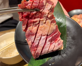 Dinner at MIOプラザ館 プラザ通り