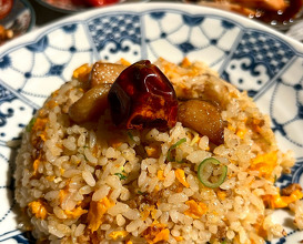 Dinner at 四川・餃子バル PAO2