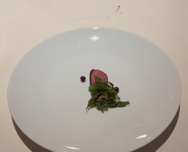 Dinner at Restaurant Doubek