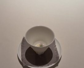 Dinner at Restaurant Doubek