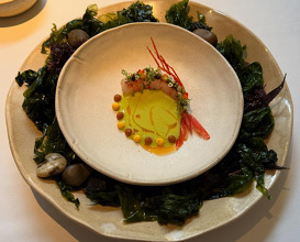 Dinner at Aromata Restaurante