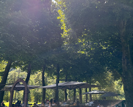 Lunch at Agriturismo Ferdy
