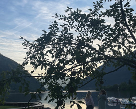 Dinner at Gasthaus Rostiger Anker