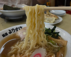 Dinner at 青竹手打ちラーメン  麺屋  ようすけ