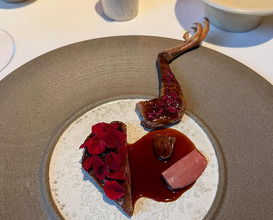 Dinner at Restaurant Vinkeles