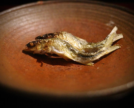 Dinner at 松川