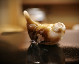 Dinner at 日本橋蛎殻町すぎた