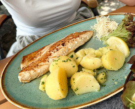 Lunch at Dorfwirtshaus Stöckl