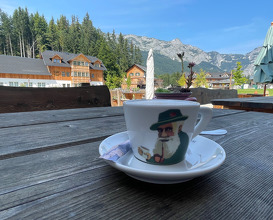 Lunch at Dorfwirtshaus Stöckl